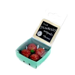 Oldenhof Aardbeien koelkastmagneten 4-delig