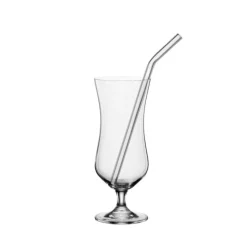 Oldenhof Bar Selection cocktailglas met rietjes kristalglas 2 stuks