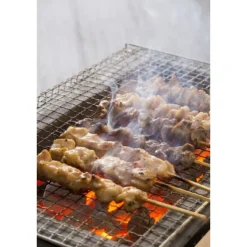 Oldenhof Konro Grill Diatomite Japanse barbecue B-11 77 x 23 x 20 cm