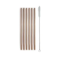 Oldenhof rietjes 21 cm met reinigingsborsteltje rvs koperkleurig