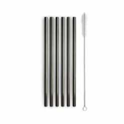 Oldenhof rietjes 21 cm met reinigingsborsteltje rvs zwart