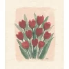 Oldenhof vaatdoekje 20 x 17 cm Red Tulips