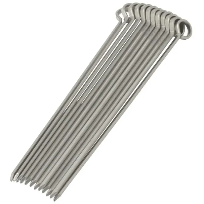 Oldenhof vleesspies 25 cm rvs 12 stuks