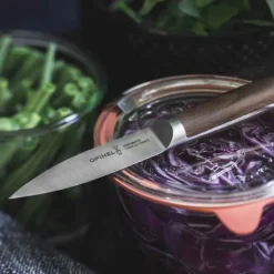 Opinel Les Forgés 1890 schilmes 8 cm rvs