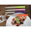 Opinel steakmes N°125 22 cm rvs lichtgroen