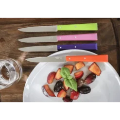Opinel steakmes N°125 22 cm rvs lichtgroen