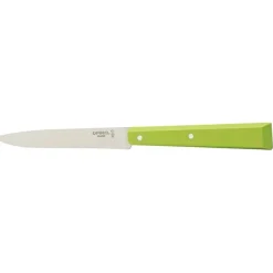 Opinel steakmes N°125 22 cm rvs lichtgroen