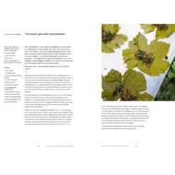 Ottolenghi: het kookboek