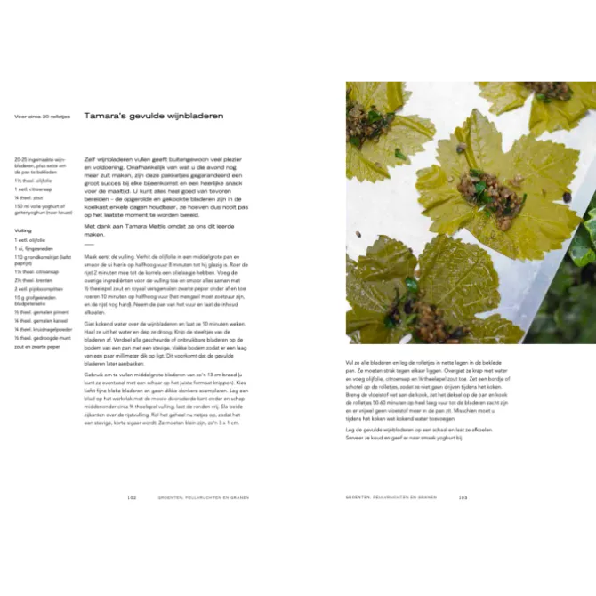 Ottolenghi: het kookboek