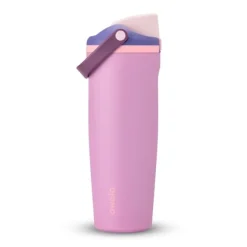 Owala FreeSip Sway waterfles 890 ml rvs Pretty in Purple