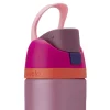 Owala FreeSip waterfles 710 ml rvs Crown Jewel