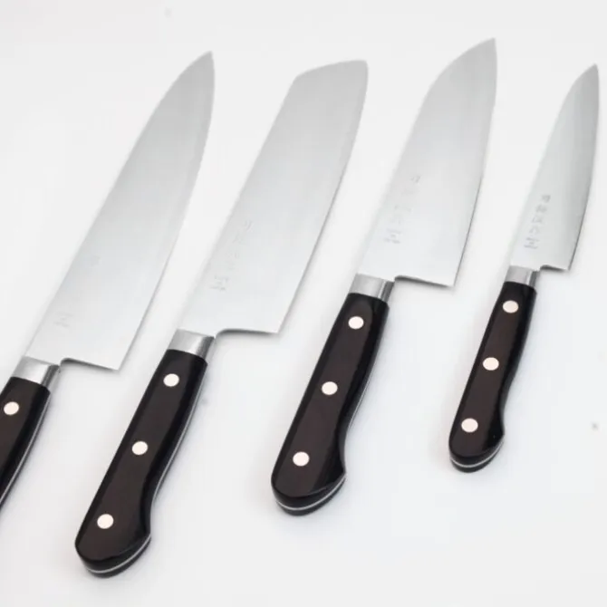 Pateru Warikomi Gyuto 21 cm AUS-10