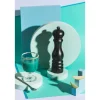 Peugeot Paris Chef Zirlion zoutmolen U-select 22 cm Carbone