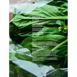 Plenty : groente genoeg om héél lekker te koken - Ottolenghi