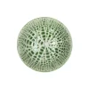 Pomax Lotus ontbijtkom ø 12 cm porselein groen