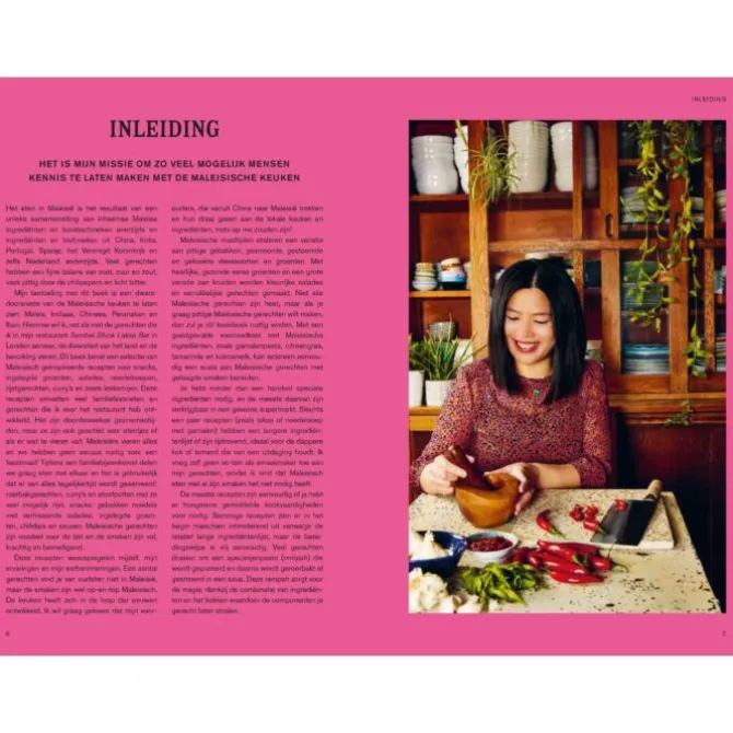 Sambal Shiok : het Maleisische kookboek