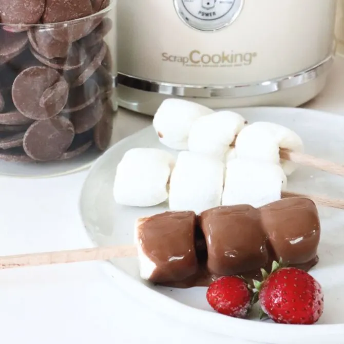ScrapCooking elektrische chocoladefontein