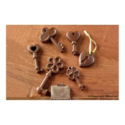 Silikomart EasyChoc Choco Keys bakvorm 21,5 x 10,5 cm silicone bruin
