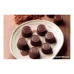 Silikomart EasyChoc Praline bonbonvorm 15 cilinders ø 3 cm silicone bruin