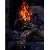 Smokey Goodness 2 : het next level barbecueboek