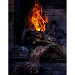 Smokey Goodness 2 : het next level barbecueboek