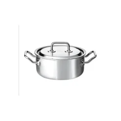 Spring Brigade Premium braadpan met rvs deksel ø 22 cm rvs