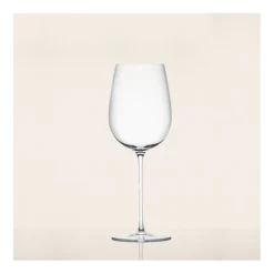 Sydonios l’Esthète witte wijnglas 460 ml mondgeblazen glas 6 stuks