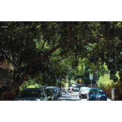 TLV : de culinaire stadsgids