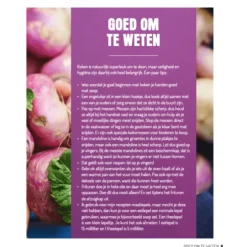 Vega met Shane
