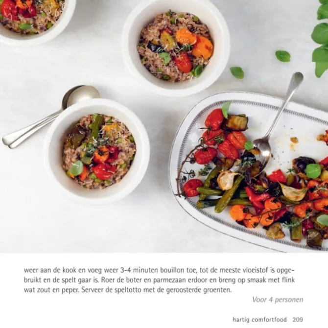 500 vegetarische gerechten