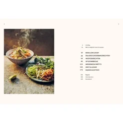 Vietnamees Made Easy