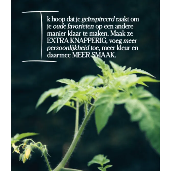 Week Light : supersnelle recepten | Donna Hay