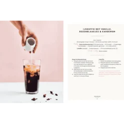 50x vegan zuivel : van havercappuccino tot cashewparmezaan