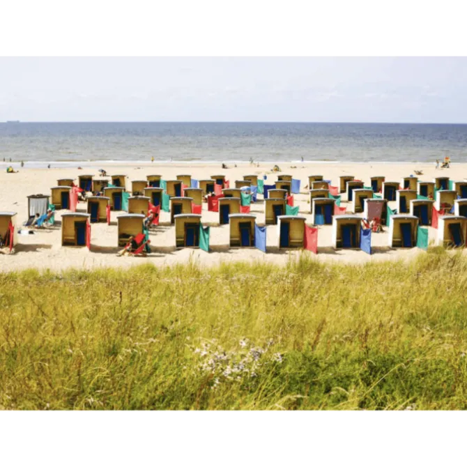 Zeelust : van Texel tot Zeeland. Culinaire kustgids