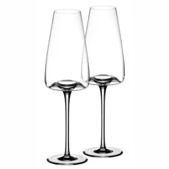 Zieher Vision Rich wijnglas 280 ml kristalglas 2-delig
